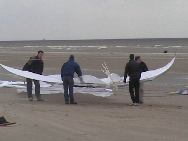 Envol du gros zoiseau 3