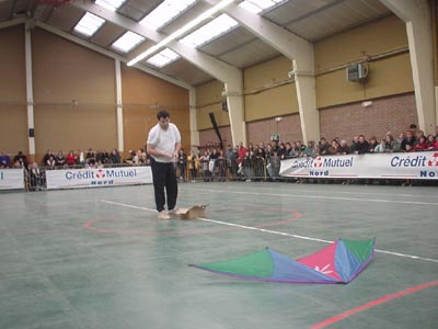 DSC00795