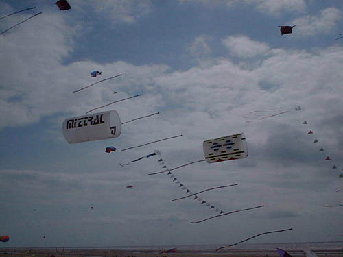 Les circoflex miztral